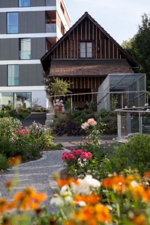 Tabea Horgen 5 Tabea Horgen 5