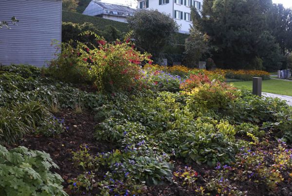 friedhof 00 friedhof 00