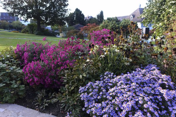 friedhof 02 friedhof 02