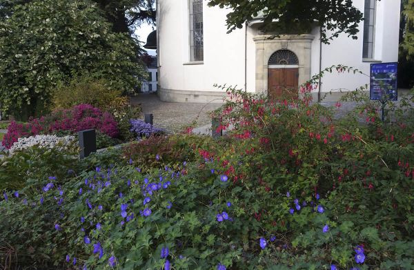 friedhof 03 friedhof 03
