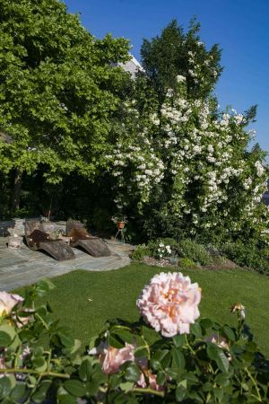 CB Website Gartenbau Belaege Voser 2 CB Website Gartenbau Belaege Voser 2