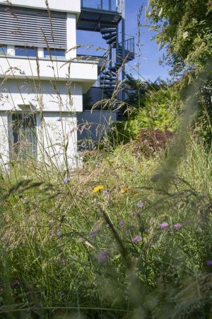 CB Website Gartenbau Wiese Huber 5 CB Website Gartenbau Wiese Huber 5