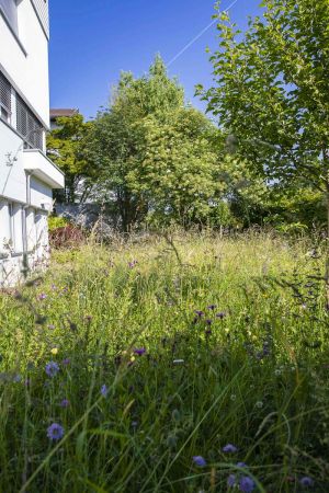 CB Website Gartenbau Wiese Huber 6 CB Website Gartenbau Wiese Huber 6