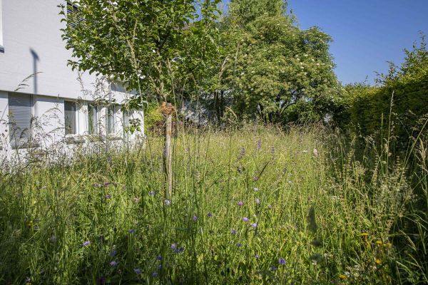 CB Website Gartenbau Wiese Huber 9 CB Website Gartenbau Wiese Huber 9